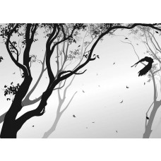 Ein Fototapet von einem Silhouett eines Waldes mit einem Vogel im Wind.