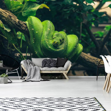 Eine Fototapete mit einer grünen Schlange auf einem Ast in einem natürlichen Wohnzimmerstil.
