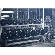 Fototapete mit Gewichten und Hanteln, für einen coolen und motivierenden Look in einem Fitnessstudio.