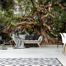 Fototapete Märchenbaum mit Olivenbaum für das Wohnzimmer.