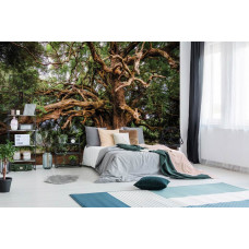 Fototapete Märchenbaum mit Olivenbaum für das Schlafzimmer.