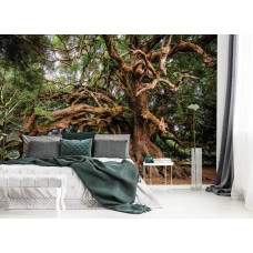 Fototapete Märchenbaum für das Schlafzimmer.