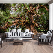 Fototapete Märchenbaum für das Wohnzimmer.