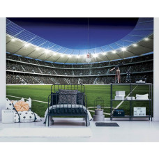 Fototapete eines Fußballstadions mit Jungen auf einem Fußballplatz, ideal für das Kinderzimmer.