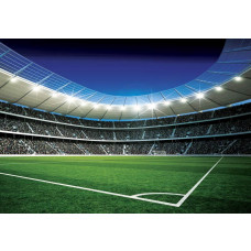 Fototapete mit einem Stadion und einem Fußballplatz, wo Kinder spielen.