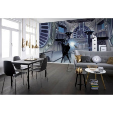 Eine Star Wars Classic Fototapete mit einem Duell im Thronsaal des Imperators.