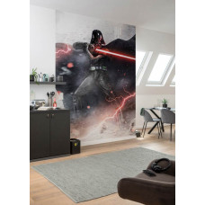 Eine Fototapete mit Darth Vader und den dunklen Mächten aus Star Wars, sichtbar in einem Spielzimmer.