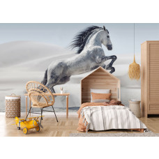 Fototapete mit einem weißen Pferd in der Wüste als auffälliges Wandmotiv im Kinderzimmer.