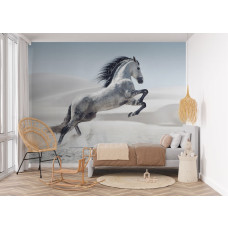 Fototapete mit steigendem Pferd in der Wüste als eindrucksvolle Wand im Mädchenzimmer.