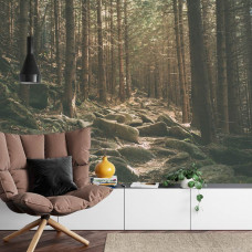 Eine Fototapete mit einer ruhigen Waldszene mit Steinen zwischen den Bäumen, perfekt für ein Wohnzimmer.