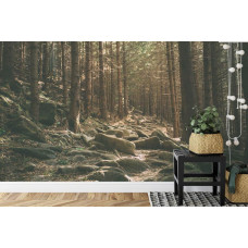 Eine Fototapete mit einer beruhigenden Waldlandschaft voller Steine und Grün, geeignet für eine Küche.