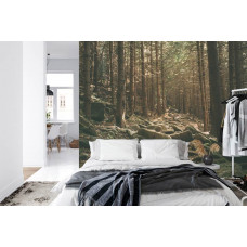 Eine Fototapete mit einer natürlichen Waldlandschaft mit Steinen, ideal für ein Schlafzimmer.