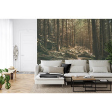 Eine Fototapete mit einer ruhigen Waldumgebung mit Steinen, die über den Boden verstreut sind, ideal für ein Wohnzimmer.