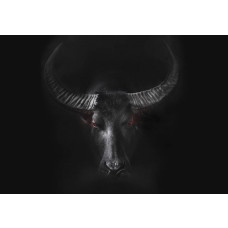 Fototapete mit einem kräftigen Stier, dynamisch dargestellt in einem industriellen Umfeld mit starken Kontrasten.