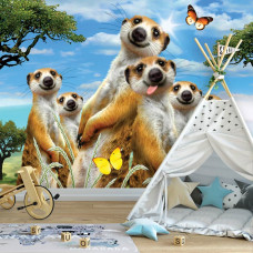 Eine Fototapete mit Erdmännchen in einem lustigen Selfie-Arrangement, ideal für ein Jungenzimmer.