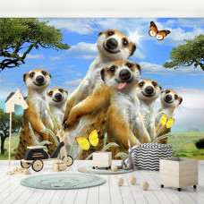 Eine Fototapete mit Erdmännchen in einer lustigen Komposition, geeignet für das Spielzimmer.