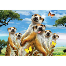 Erdmännchen und Tiere, verrückte Tierfototapete mit einer lustigen Darstellung für Kinder.