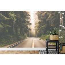 Eine Fototapete, die eine gerade Straße in einem amerikanischen Wald mit 3D-Effekt zeigt.