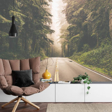 Eine Fototapete, die eine lange Straße in einem amerikanischen Wald mit Tiefe in einem Schlafzimmer zeigt.