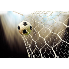 Fototapete mit einem Fußball, der fest im Netz hängt, aufgenommen kurz nach dem Moment eines perfekten Tores.
