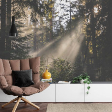 Eine Fototapete, die eine malerische Waldszene mit Sonnenlicht in einem Wohnzimmer zeigt.