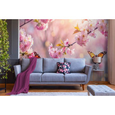 Ein wunderschönes Fototapet mit strahlenden rosa Kirschblüten und elegant flatternden Schmetterlingen im Frühling, vor einem sanften, ruhigen Hintergrund im Wohnzimmer.