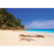 Strand und Meer, Fototapete mit einem beruhigenden und natürlichen Blick auf den Horizont.