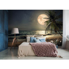 Fototapete mit einem nächtlichen Strand, Palmen und einem hell leuchtenden Mond, ideal für Wohnzimmer und Schlafzimmer.