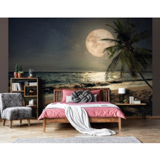 Fototapete mit tropischem Strand bei Mondschein, Palme und ruhigem Meer, wunderschön für die Küche.