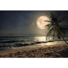 Strand bei Vollmond mit Palmen und einem hell erleuchteten Mond, der über dem Paradies strahlt.