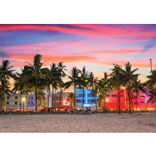 Abendbild eines Strandes mit Palmen am Ufer und dem ruhigen Meer unter einem klaren Sternenhimmel, Fototapete, die Gelassenheit ausstrahlt.