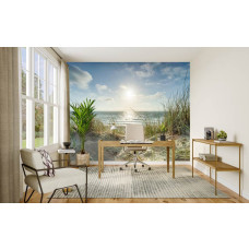 Fototapete Strand mit Dünen und Meer im Büro mit Blick auf Dünen und blauen Himmel.