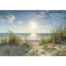 Fototapete Strand mit Dünen und Meer mit Blick über Sand, Dünengras und glitzernde Wellen.