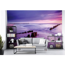 Fototapete, die einen Strand und das Meer mit violetten Farbtönen bei Sonnenuntergang zeigt.