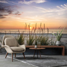 Fototapete Strand mit Strandhafer in einem Geschäftsraum mit Blick auf den Sonnenuntergang.