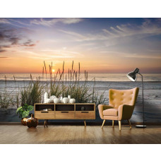 Ein Büro mit Fototapete mit Strandhafer auf einer Düne in den warmen Farben des Sonnenuntergangs.