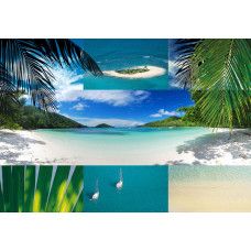 Strand mit Palmen und blauem Meer, dargestellt auf einer schönen Fototapete für eine sommerliche Atmosphäre.