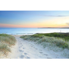 Ein Strandweg, der durch Dünen zum Meer führt, auf dieser Fototapete, mit einem beruhigenden und natürlichen Look.