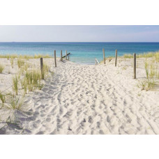 Fototapete von einem sandigen Weg durch die Dünen mit Blick auf das Meer.