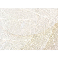 Eine Fototapete mit der Struktur von Blättern mit detaillierten Adern.