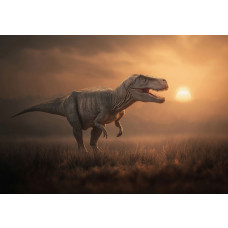 Fototapete T-Rex in der Abendsonne mit einem realistischen Dinosaurier in der Graslandschaft bei Sonnenuntergang.