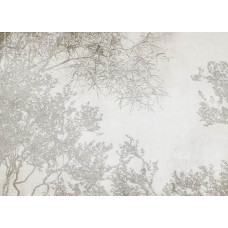 Fototapete mit künstlerischen Silhouetten von Ästen gegen einen subtilen Hintergrund, perfekt für eine minimalistische und stilvolle Ausstrahlung.