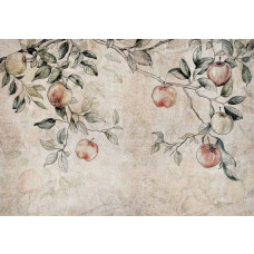 Fototapete mit Ästen eines Apfelbaums mit Äpfeln, für eine rustikale Atmosphäre.