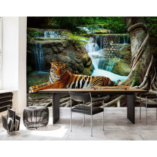 Fototapete eines Tigers bei einem Wasserfall in einem Wald in einem professionellen Büro.