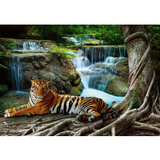 Fototapete eines Tigers bei einem Wasserfall in einem Wald.