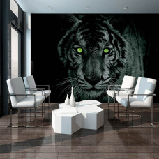 Eine Schwarz-Weiß-Fototapete mit einem Tiger mit grünen Augen für das Wohnzimmer.