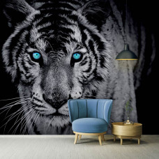 Fototapete mit einem imposanten blauäugigen Tiger in Schwarz-Weiß.
