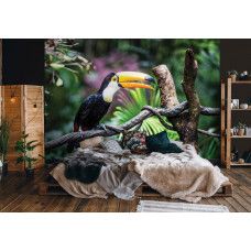 Fototapete Riesenvogelspinne in einem ruhigen Schlafzimmer.