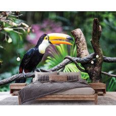 Fototapete Riesenvogelspinne im Vliestapeten-Stil für ein Schlafzimmer.