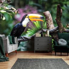 Fototapete Riesenvogelspinne in einem Wohnzimmer mit natürlichen Farben.
